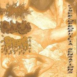 Anal Orgasm : Cybercoprophilia Sensations